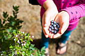A child holding blueberries