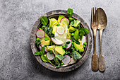 Green organic vegetables salad with avocado, kale, green peas, sprouting herbs, radish in rustic bowl