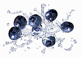 Blueberries with a splash of water