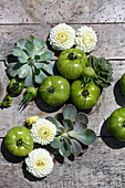 White pompom dahlias, green tomatoes and houseleeks on wooden surface