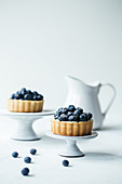Blueberry tartlets