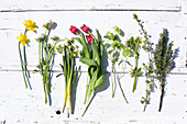 Narcissus, ranunculus, tulips, viburnum, hellebore and rosemary