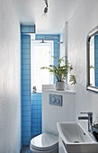 Blue-tiled end wall in small, narrow bathroom