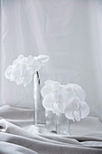 Weiß blühende Orchideenzweige in Glasvasen auf gerafftem Stoff