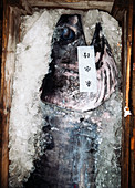 Fish in ice in wooden boxes
