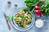 Frühlingssalat mit Radieschen, Gurke und Ei
