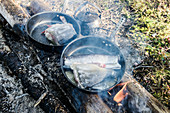 Fish is frying on campfire