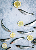 Baltic herrings