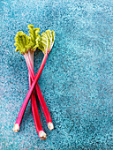 Fresh rhubarb