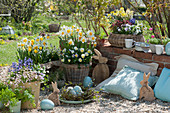 Easter terrace with daffodils, horned violets, hyacinths, mossy saxifrage and wallflower Easter bunnies and a wreath with Easter eggs