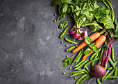Fresh vegetables on rustic concrete background (Carrot, beet, radish, green pea, herbs)