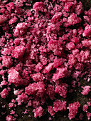 Sugar crystals infused with beet juice