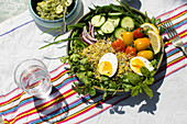 Salad bowl broccoli sprouts, cucumber, egg, garden herbs and pesto dressing