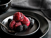 Blackberry sorbet and fresh blackberries
