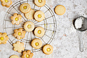 Linzer cookies dusted with powder sugar