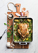 Chicken roasted with herbs and vegetables
