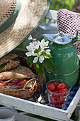 Tablett für ein Picknick im Garten mit belegten Broten