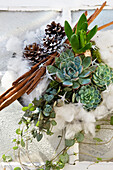 Weihnachtsarrangement aus Sukkulenten, Hyazinthe, Zapfen, Zimtstangen und Wolle