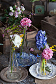 Ranunculus, hyacinths, Australian waxflowers and mimosa flowers in glass vases