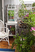 Üppig bepflanzter Balkon mit sommerlichen Blumen
