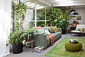 Conservatory with green plants, sofa, and green rug