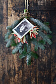 Fir branches with amaryllis blossoms and nostalgic photo