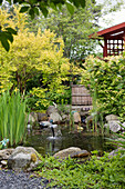 Garden pond with yellow spirea, yellow iris and yellow-red sumac and natural stones