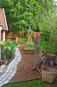 Summer garden with stone path