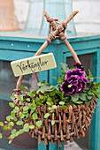Purple violas and wire vine planted in basket