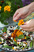 Hände zupfen Blütenblätter der Studentenblume über einen Salat