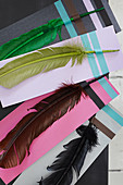 Colorful feathers with masking tape on colored paper cards