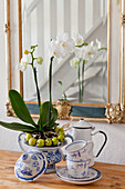 White orchid in wreath of crabapples arranged in sauce boat