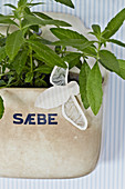 Paper bee on an old soap dish with lemon verbena