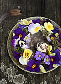 Blumenkranz aus Primeln, Stiefmütterchen und Anemonen auf rustikalem Teller