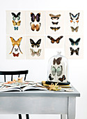 Postcards with a butterfly motif as a wall decoration above the table with a bell jar