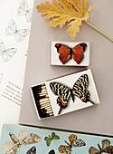 Mit Schmetterling-Motiven beklebte Streichholzschachteln