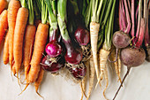 Variety of root garden vegetables carrot, purple onion, beetroot, parsnip with tops over white marble background