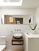 Horizontal mirror and skylight in the small bathroom