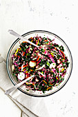 Kale salad with radicchio, radishes, carrots and pepper