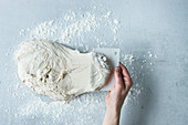 Bread being made: dough being stretched with a dough card