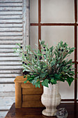 Artificial olive branches and ivy in stone urn in front of shutter