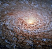 Messier 63 Sunflower galaxy,Hubble image
