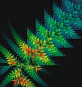 Fractal growth abstract illustration.