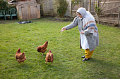 Elderly south Asian woman feeding her chickens