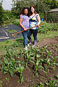 Woman and girl with hoe by sweetcorn patch