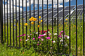 Urban solar farm,Detroit,USA