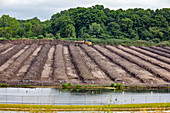 Commercial composting facility,Michigan,USA