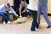 Two women petting a guide dog during a dance class
