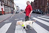 Vision impaired man and guide dog using zebra crossing