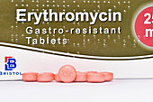 Erythromycin antibiotic drug